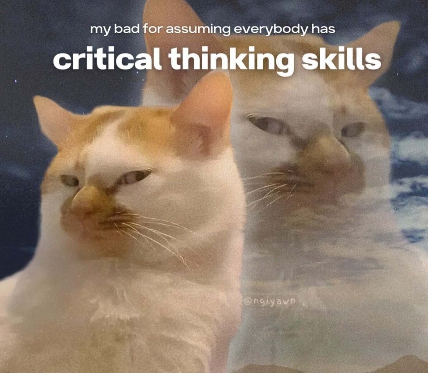 my bad for assuming everybody has critical thinking skills