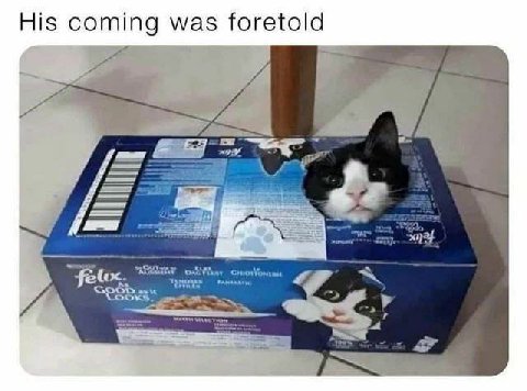 His coming was foretold
