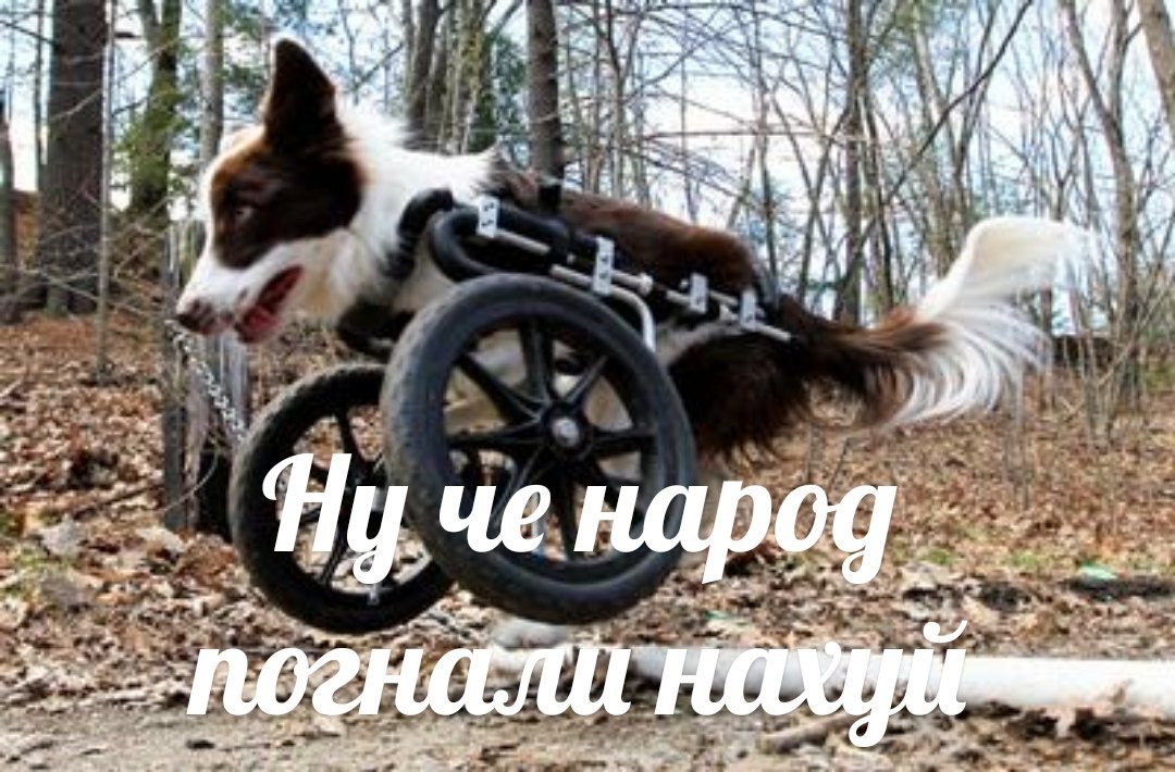 4 “a \А if че нар a 7