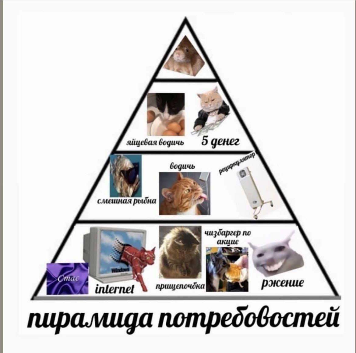 бодичь смешная чизбаргер по internet ржение пирамида nompedobocmeit