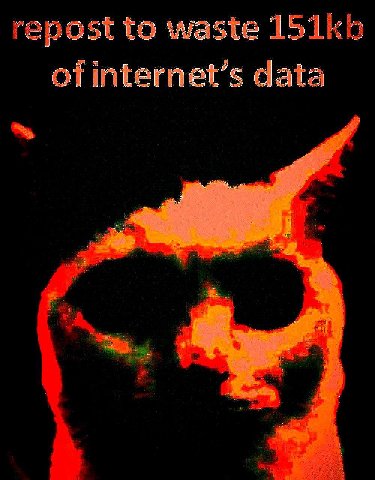 repost to waste of internet’s data
