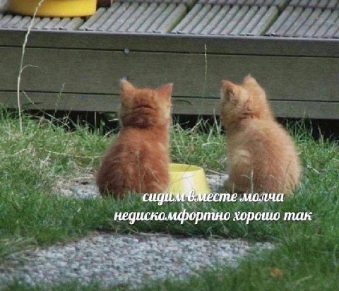 молча сиди. недискомфортно так