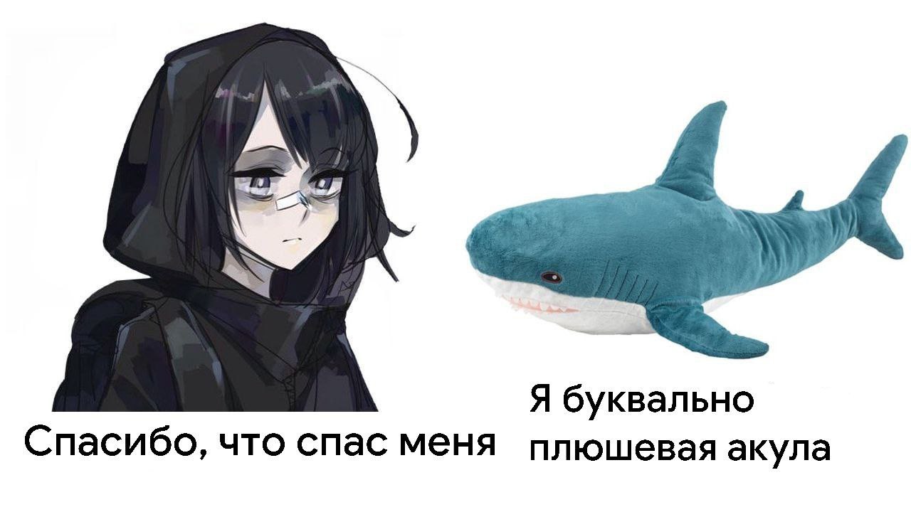 Я буквально Спасибо, что спас меня плюшевая акула