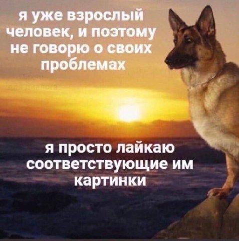 я уже взрослый человек, и поэтому не говорю о своих проблемах я просто лайкаю соответствующие картинки