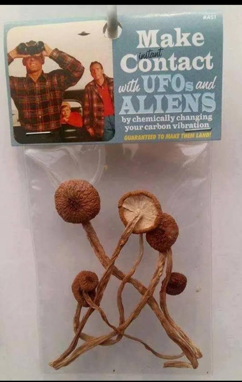 4 4 4 а у 4 your carbon vib GUARANTEED TO MAKE THEM А Я у i в: к 4 4 4 у i у AS у war