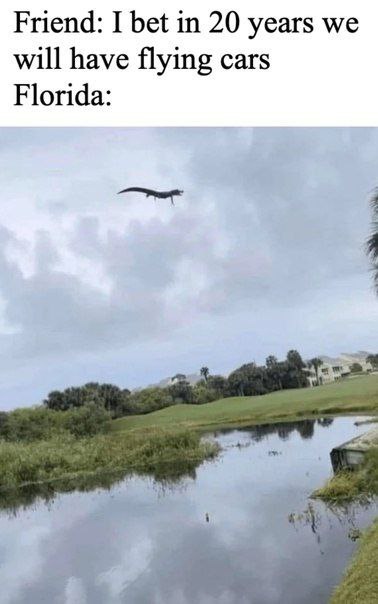 Friend: I bet in 20 years we will have flying cars Florida: 1
