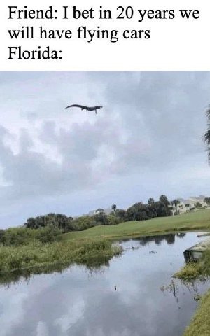 Friend: I bet in 20 years we will have flying cars Florida: 1