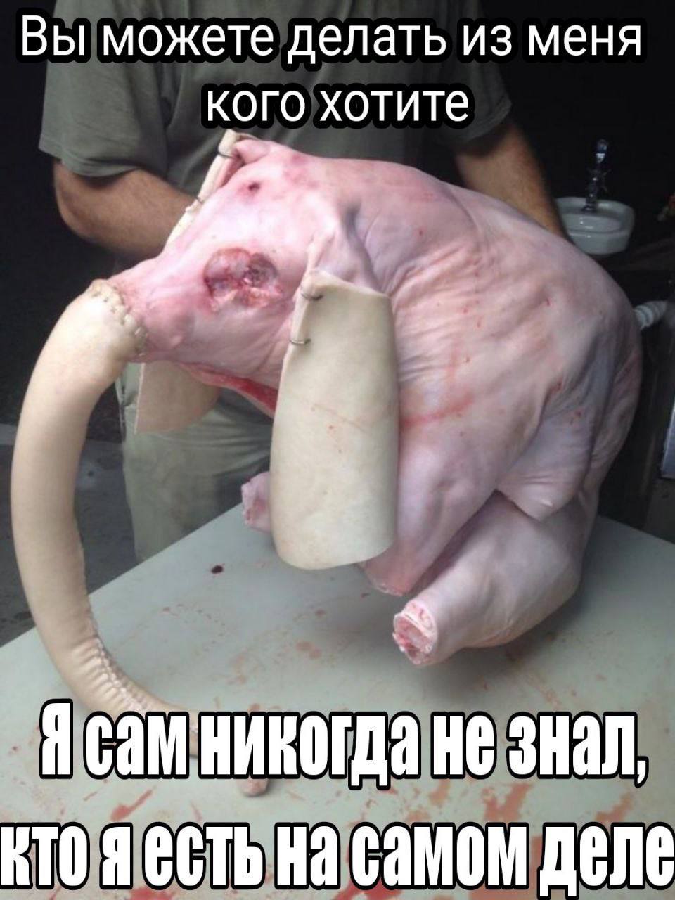 Вы можете делать из меня кого хотите не знал, самом деле