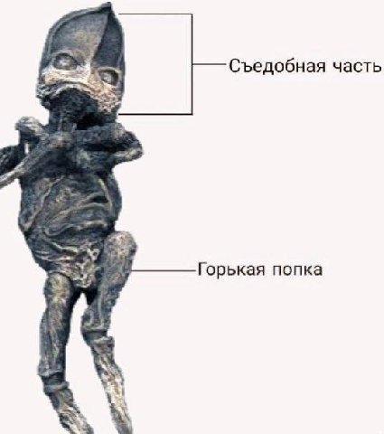 Съедобная часть Горькая попка