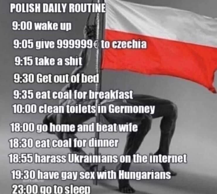 POLISH DAILY 9:00 wake up 9:05 give to czechia 915takeashit 9:30 Get out of bed 9:35 eal coal for 10:00 clean toilets in Germoney 18:00 home and beat 18:30 eat Coal for dinner 18:55 harass Ukrainians 