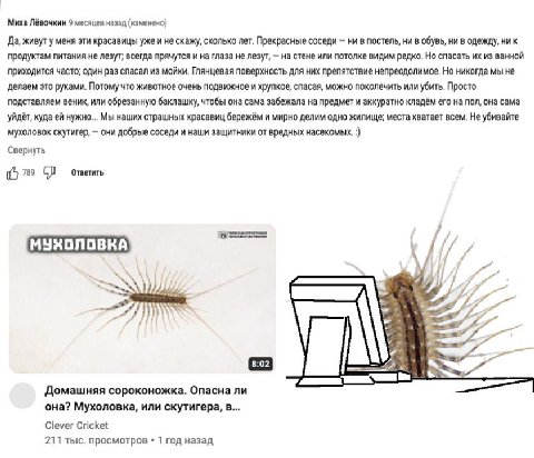 Миха Лёвочкин 9 месяцев назад (изменено) Да, живут у меня эти красавицы уже и не скажу, сколько лет. Прекрасные соседи ни в постель, ни в обувь, ни в одежду, ник продуктам питания не лезут; всегда пря
