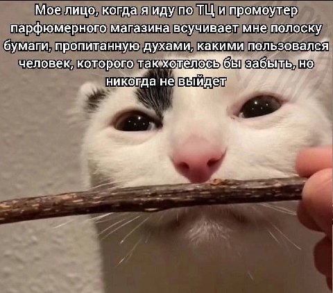 Мое лицо, когда я иду по и промоутер парфюмерного магазина всучивает мне полоску бумаги, пропитанную духами, какими пользовался человек, которого (1 быть, никогда невыидет