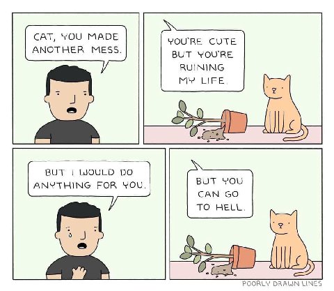 CAT, YOU MADE YOURE CUTE ANOTHER MESS. BUT YOU'RE у RUINING MY LIFE. BUT WOULD BUT YOU ANYTHING FOR YOU. CAN TO HELL POORLY LINES