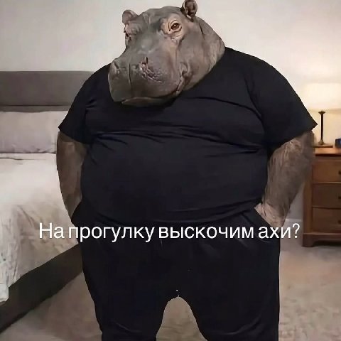 На прогулку выскочим ахи?