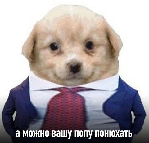 а можно вашу попу понюхать