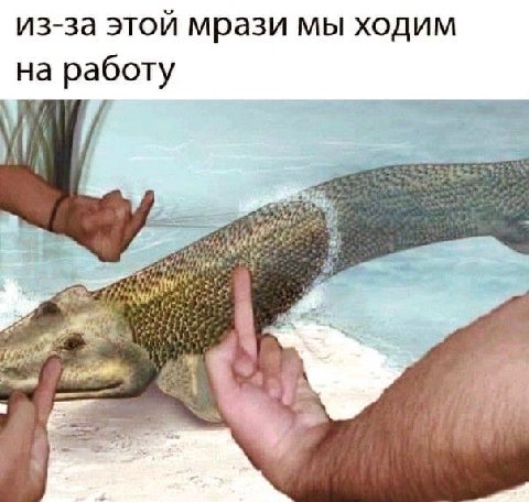 из-за этой мрази мы ходим на работу