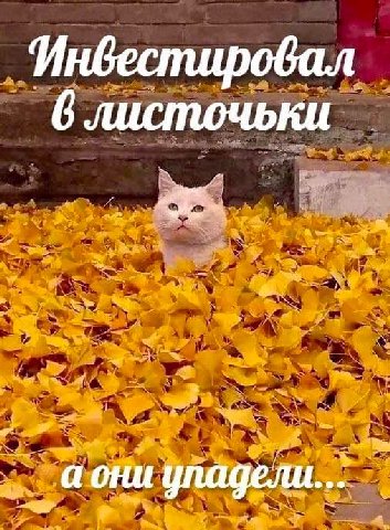 6 листочьки а они упадели