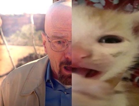 у 9 и