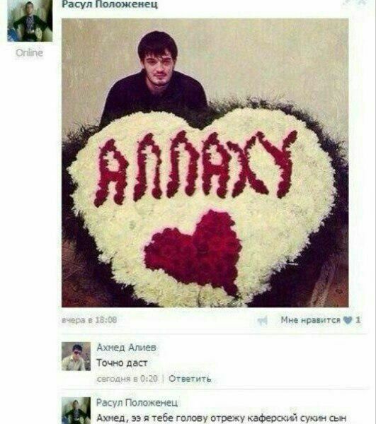 Ахмед Алиев Точно даст 0 Ответить Расул Положенец Ахмед, 55 я тебе голову отрежу каферский сукин сын
