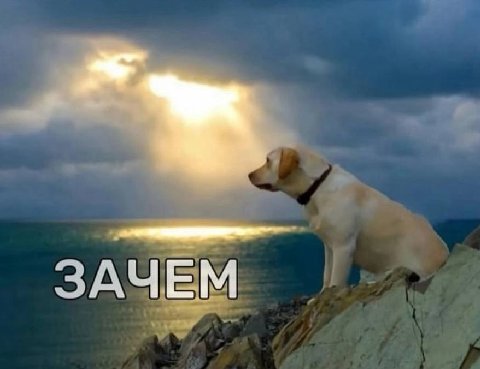 *в хорошем настроении соглашаюсь на встречу с друзьями в выходные*

я, как только наступают выходные: