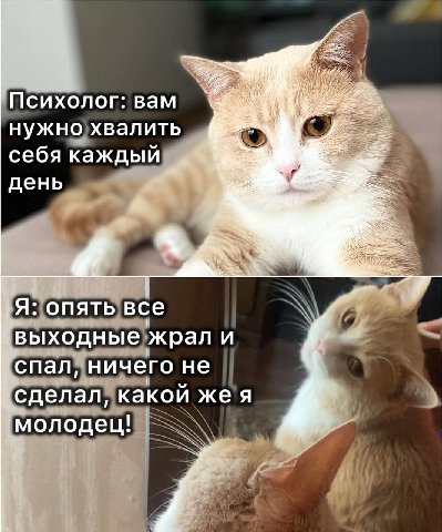 Be Психолог: вам нужно хвалить себя каждый день опять все ‘выходные жрал и ‘спал, ничего не сделал, какои жея молодец!