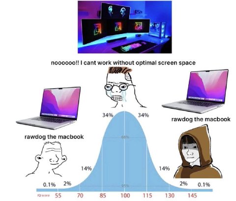 A noooooo!! cant work without optimal screen space 34% 34% rawdog the macbook 44 rawdog the macbook 14% 14% 2% 2% 0.1% 0.1% 55 70 85 100 115 130 145