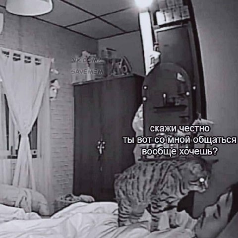 4 4 скажи честно ты вот мной общаться вообще хочешь?