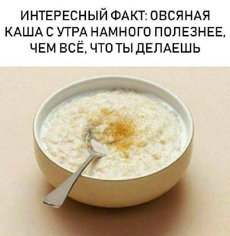 ИНТЕРЕСНЫЙ ФАКТ: ОВСЯНАЯ КАША С УТРА НАМНОГО ПОЛЕЗНЕЕ ЧЕМ BCE, ЧТОТЫ ДЕЛАЕШЬ