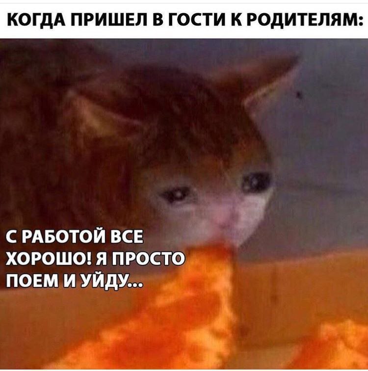 КОГДА ПРИШЕЛ В ГОСТИ К РОДИТЕЛЯМ: С РАБОТОЙ ВСЕ ХОРОШО! Я ПРОСТО ПОЕМ И УЙДУ...