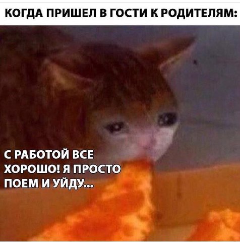 КОГДА ПРИШЕЛ В ГОСТИ К РОДИТЕЛЯМ: С РАБОТОЙ ВСЕ ХОРОШО! Я ПРОСТО ПОЕМ И УЙДУ...