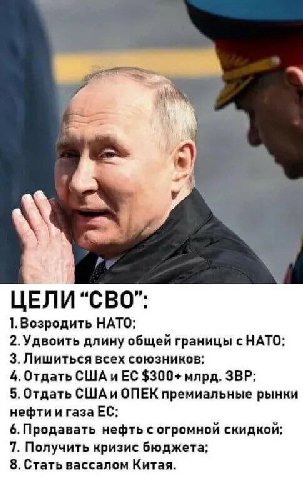 a a ЦЕЛИ “СВО”: 1.Возродить НАТО; 2.Удвоить длину общей границы с НАТО; 3. Лишиться всех союзников; 4. Отдать СШАиЕС $300+ млрд. ЗВР; 5. Отдать СШАи ОПЕК премиальные рынки нефти и газа 6. Продавать не