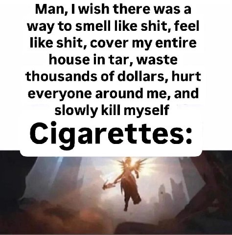 Man, wish there was а way to smell like shit, feel like shit, cover my entire house in tar, waste thousands of dollars, hurt everyone around me, and slowly kill myself Cigarettes: