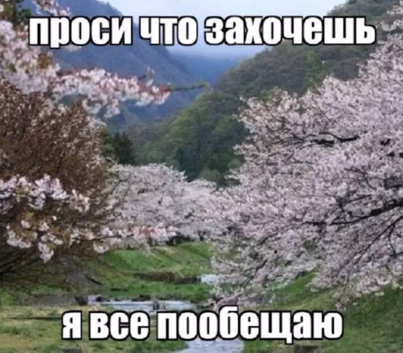 проси ЧТО захочешь a 74 С в беща ast.