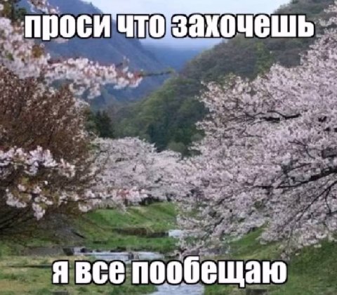 проси ЧТО захочешь a 74 С в беща ast.