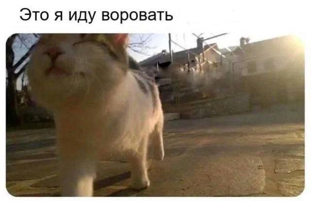 меми