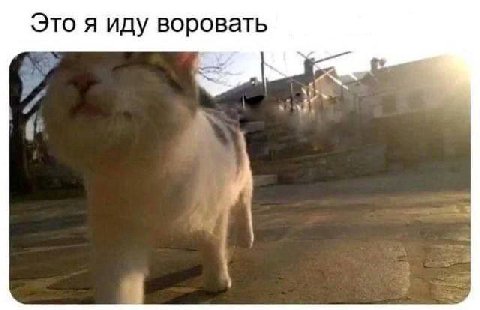 меми