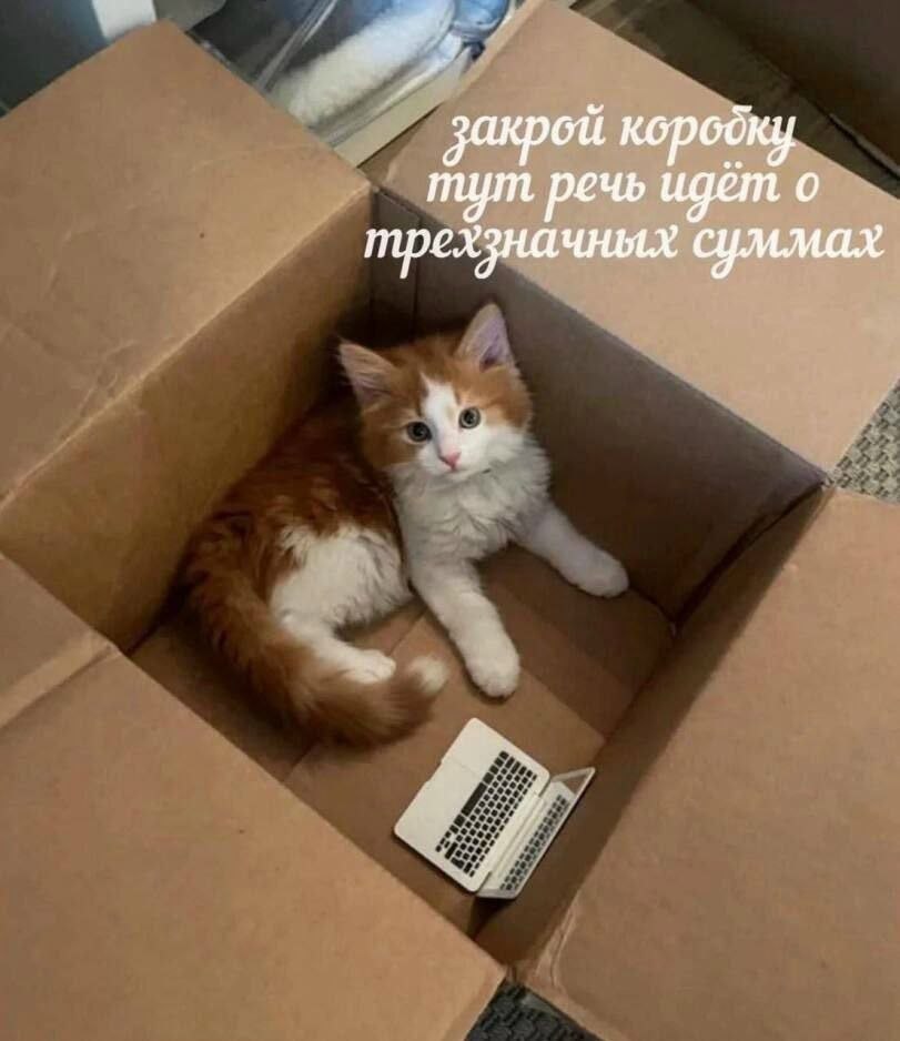 закрой тут речь идет трехзначных суммах
