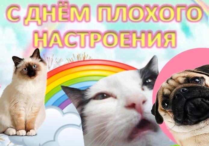 3 7