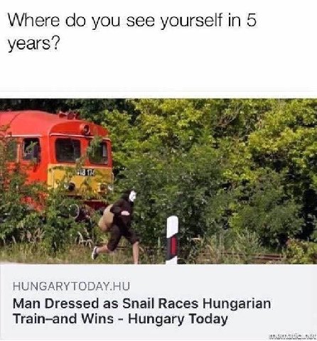Where you see yourself in 5 years? 5 7 НУМСАВУТОРАУ.НУ Man Dressed as Snail Races Hungarian Тгат-апа Wins Hungary Today