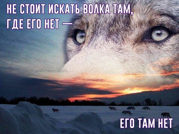 НЕ СТОИТ ИСКАТЬ: ГДЕЕГО НЕТ ЕГО ТАМ НЕТ