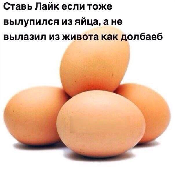 Ставь Лайк если тоже вылупился из яйца, ане вылазил из живота как долбаеб