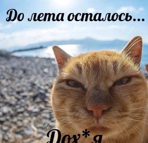 лета осталось... A STEN be 4