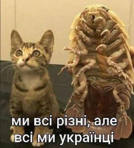 BCi