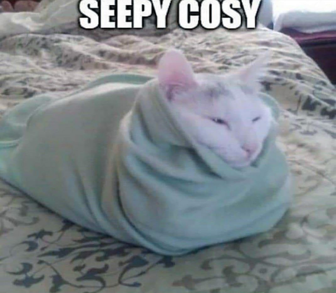 SEEPY