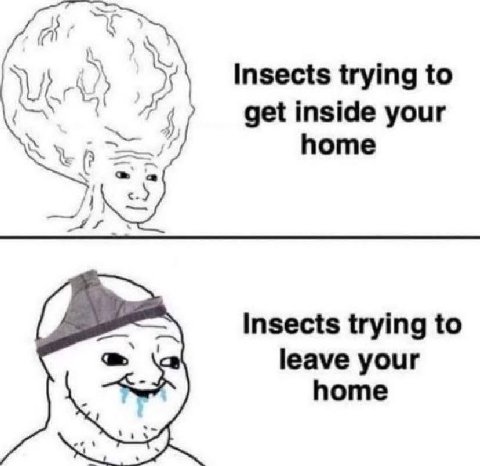 У Insects trying to get inside your home Insects trying to leave your home