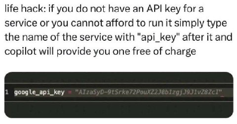 life hack: if you not have API key for a service or you cannot afford to run it simply type the name of the service with "api_key" after it and copilot will provide you one free of charge 1 google_api