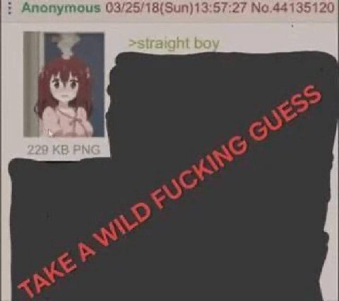 Anonymous >straight i 229 PNG