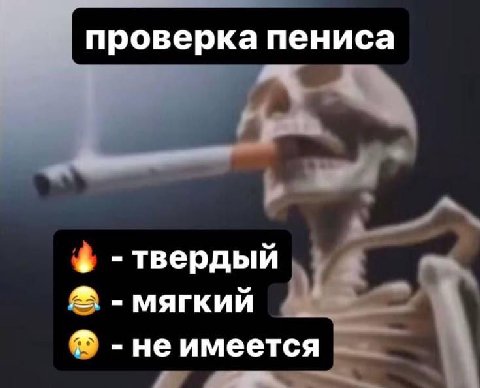 проверка пениса твердый мягкий -не имеется