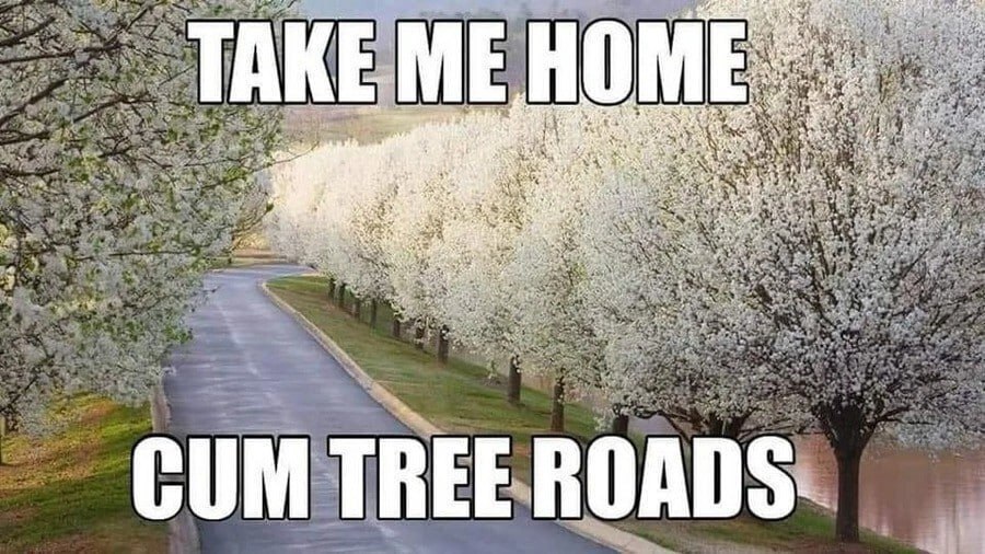 2 TAK 4: a я 4 a CUM TREE ROADS.