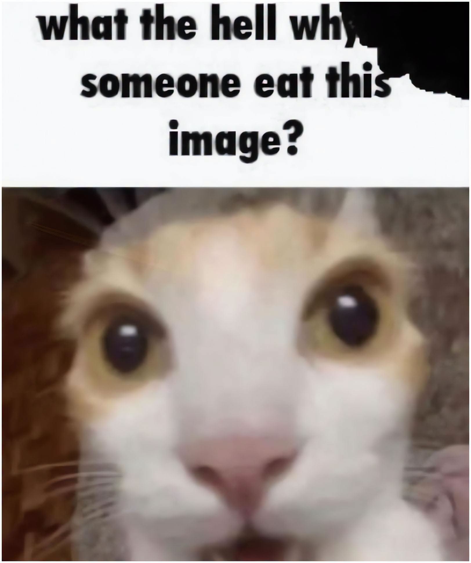 what the hell someone eat mage